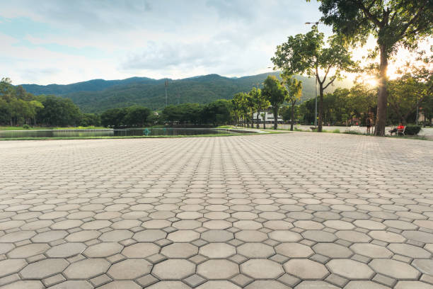 Best Residential Paver Driveway  in Stallings, NC